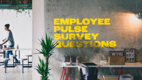 A workplace with a desk, a plant, and words "Employee Pulse Survey Questions" written on the wall